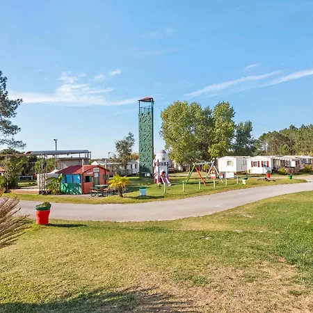 T3 V - 15 Min From Nazaré Chalet *