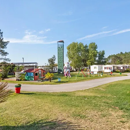 T3 V - 15 Min From Nazaré Chalet